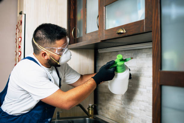 Best Pest Control for Restaurants  in Laurens, IA
