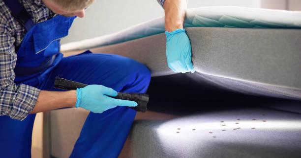 Best Cockroach Control Services  in Laurens, IA