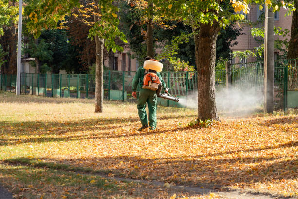 Wasp Removal Services in Laurens, IA