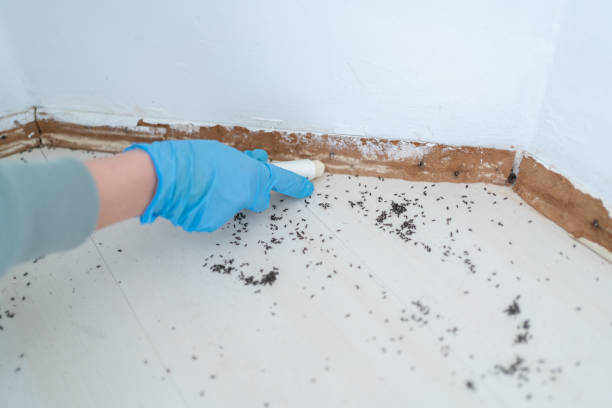 Best Residential Pest Control  in Laurens, IA