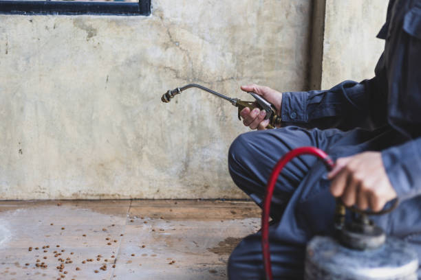 Best Best Pest Control Companies  in Laurens, IA