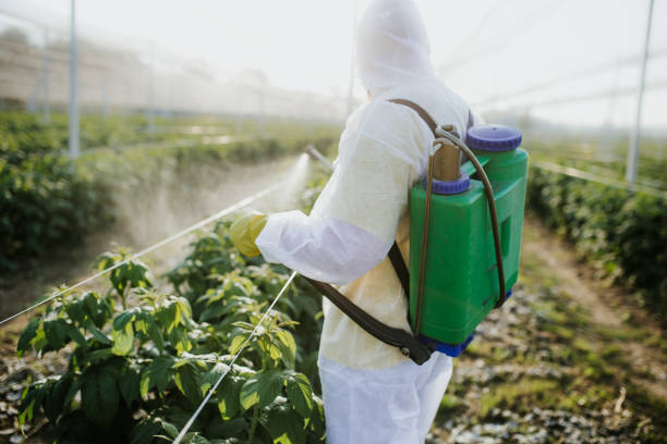 Best Pest Control Near Me  in Laurens, IA